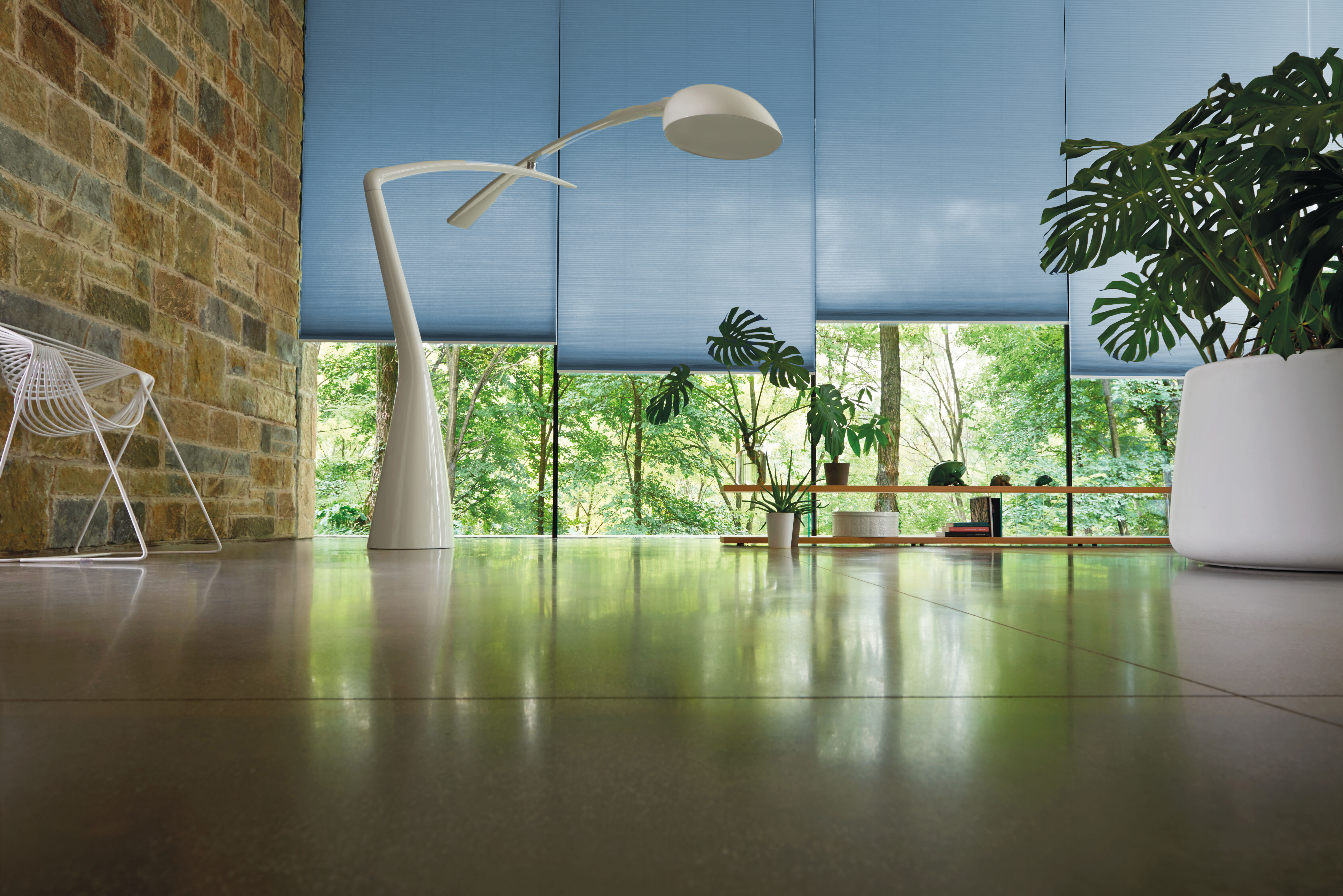 Duo-modra Lienesch